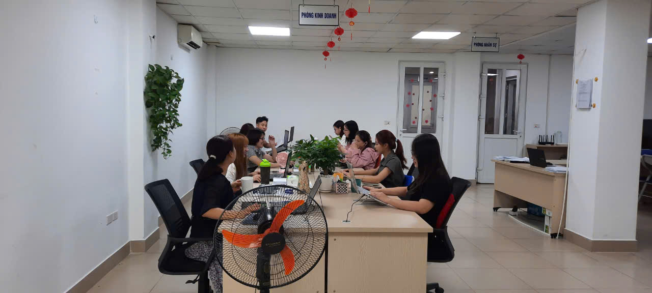 lĩnh vực hoạt động